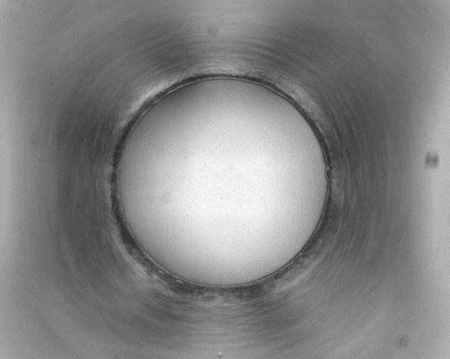 X0000090450434200708102053