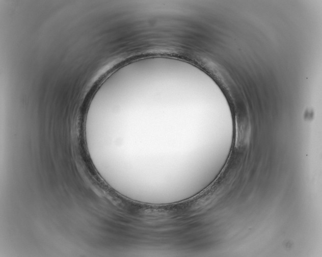 X0000090450435200708102053