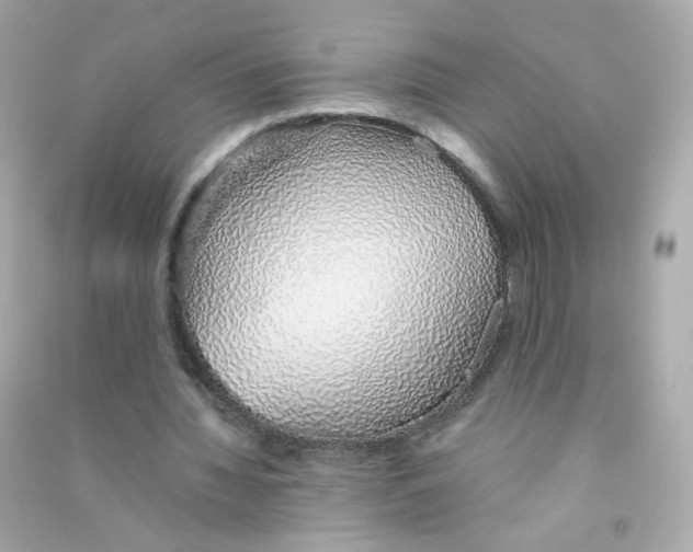 X0000090450436200708102053