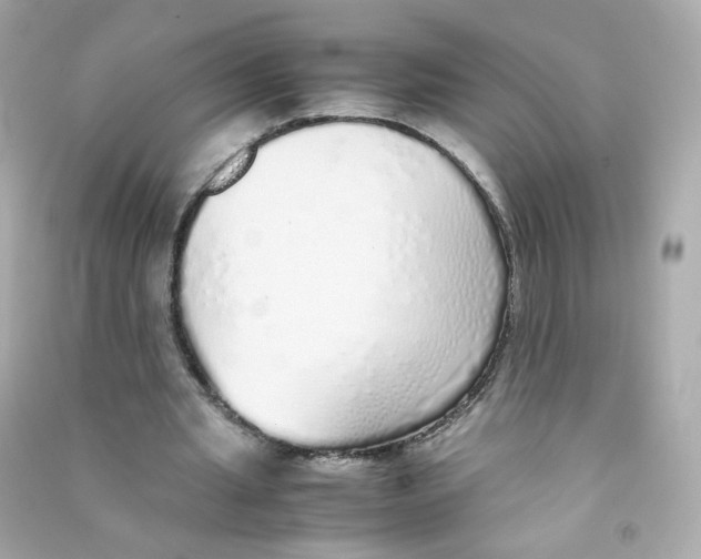 X0000090450437200708102053