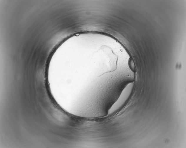 X0000090450438200708102053