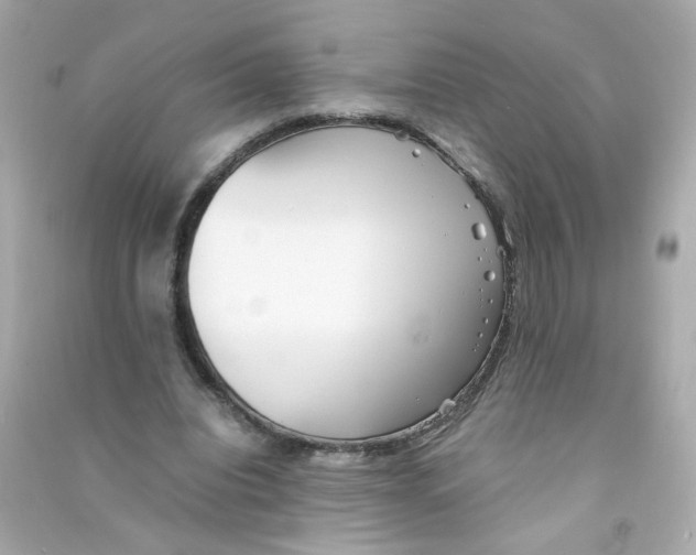 X0000090450440200708102053