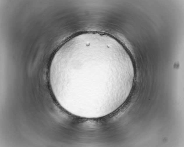 X0000090450441200708102053