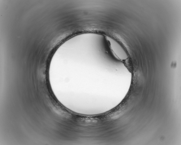 X0000090450443200708102053