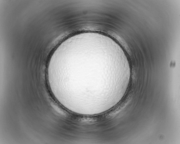 X0000090450445200708102053