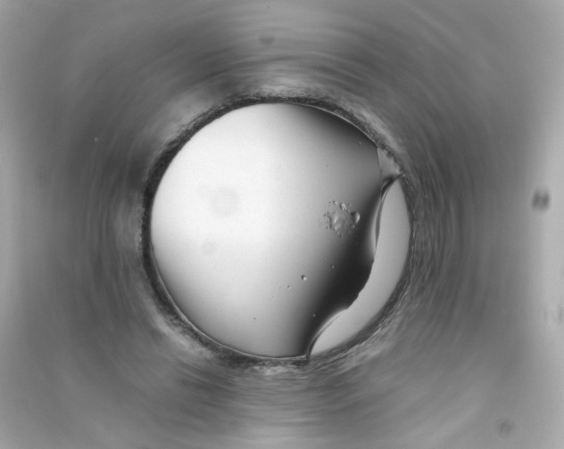 X0000090450446200708102053