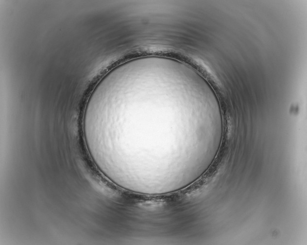 X0000090450447200708102053