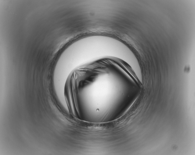 X0000090450448200708102053