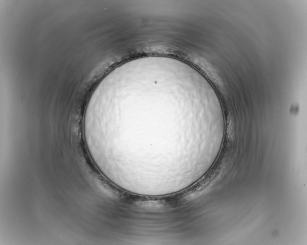 X0000090450449200708102053