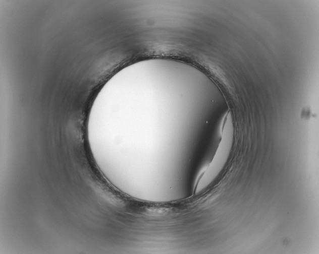 X0000090450450200708102053