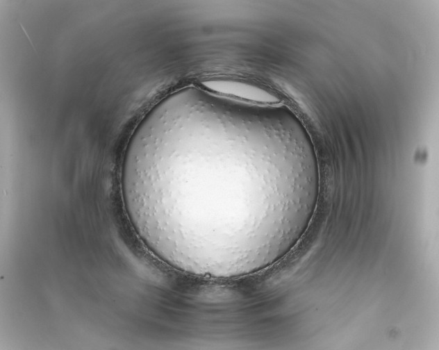 X0000090450451200708102053