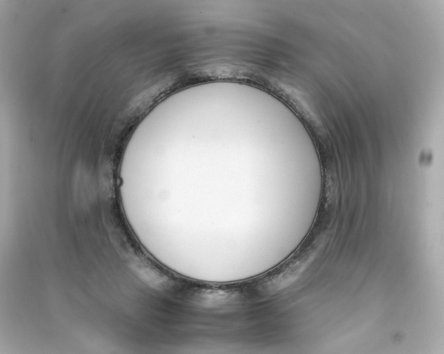 X0000090450453200708102053