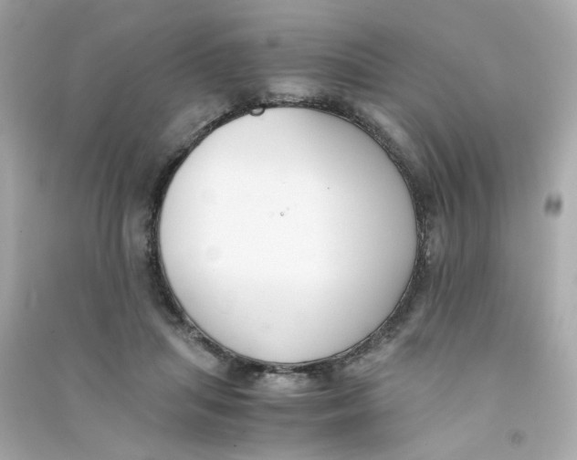 X0000090450455200708102053