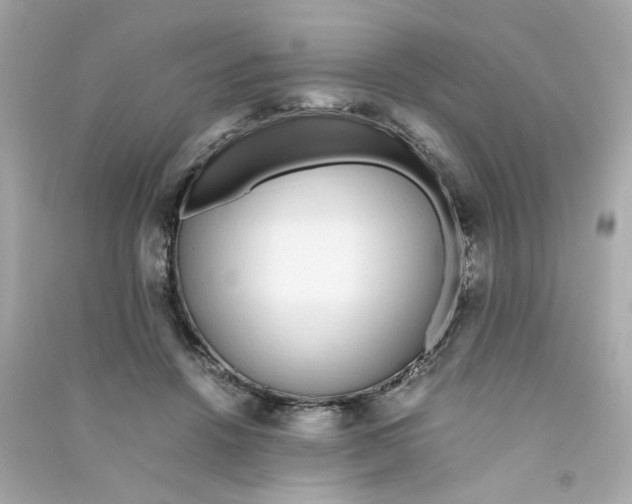 X0000090450456200708102053