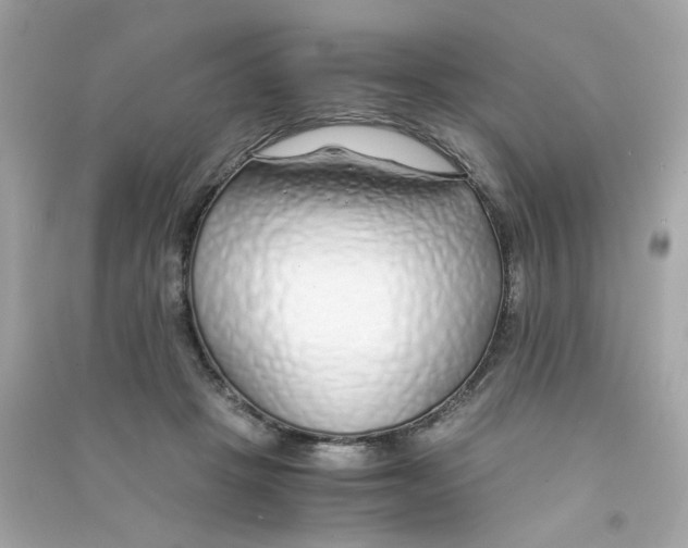 X0000090450457200708102053