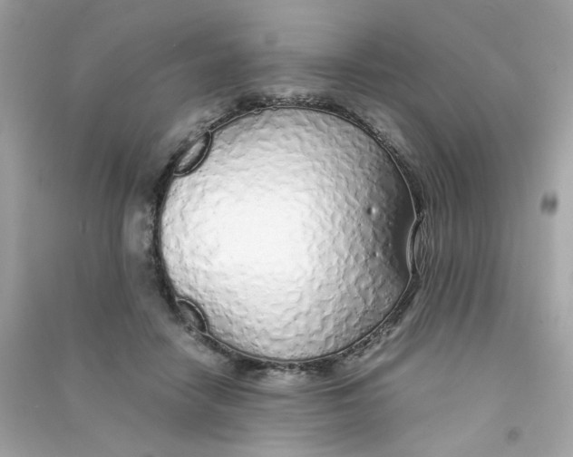 X0000090450458200708102053