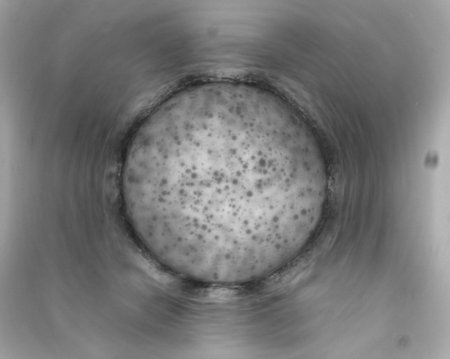 X0000090450462200708102053