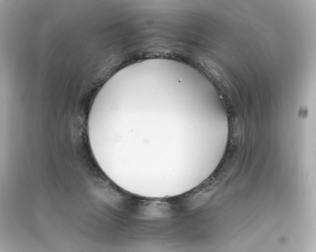 X0000090450463200708102053