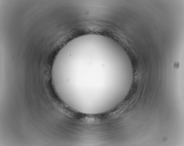 X0000090450464200708102053