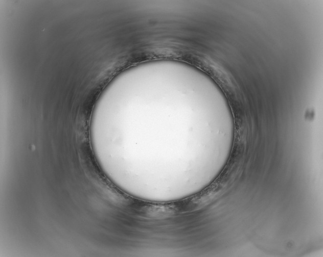 X0000090450465200708102053