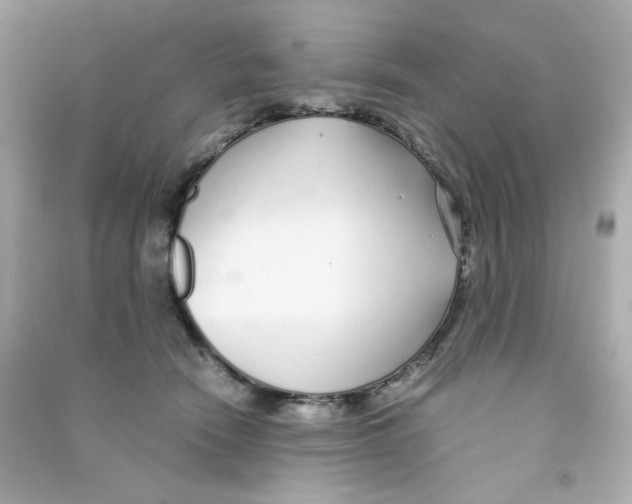 X0000090450466200708102053