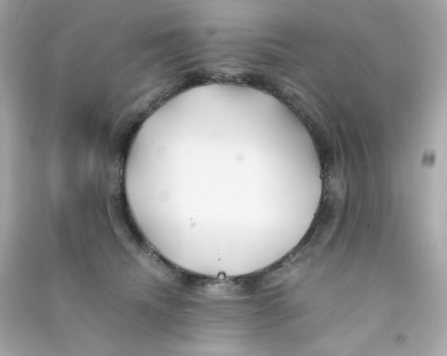 X0000090450468200708102053