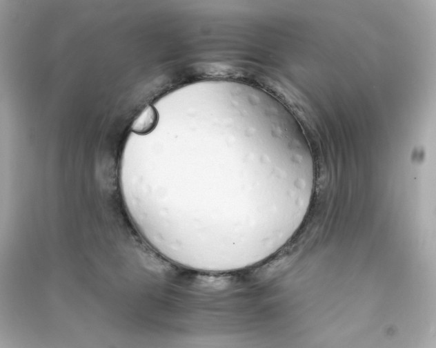 X0000090450469200708102053