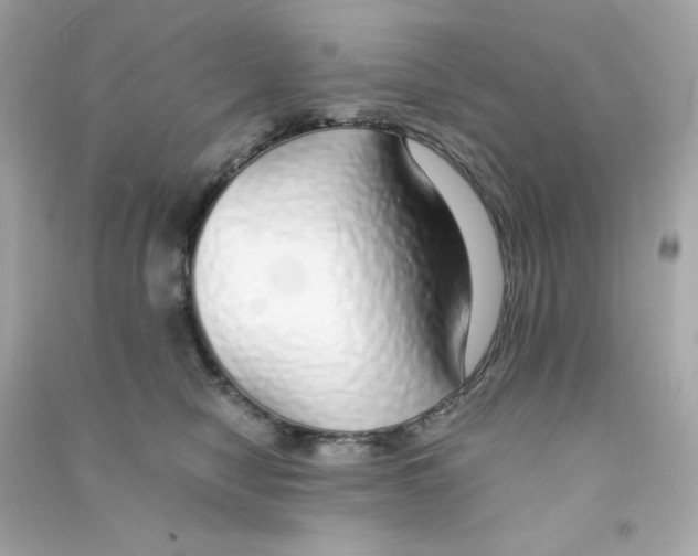 X0000090450470200708102053