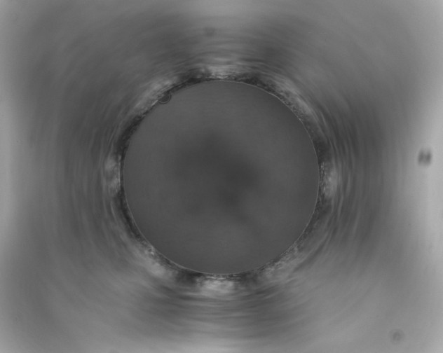 X0000090450471200708102053