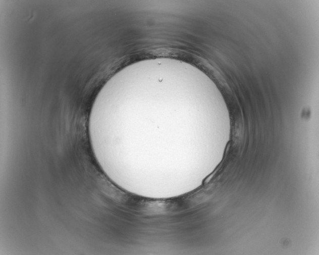 X0000090450473200708102053