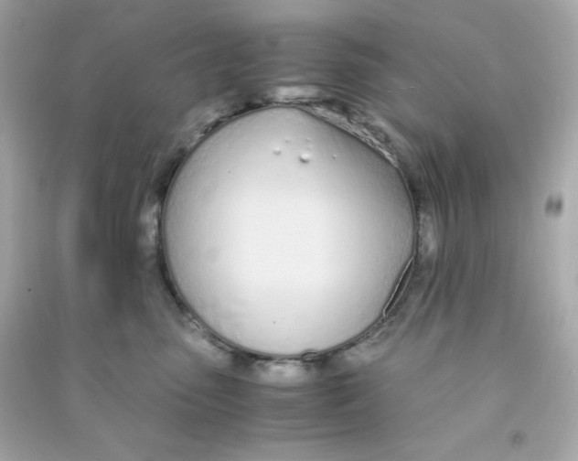 X0000090450475200708102053