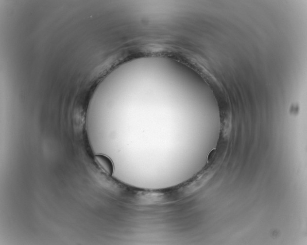 X0000090450476200708102053