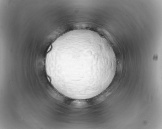 X0000090450477200708102053