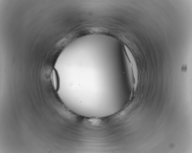 X0000090450478200708102053