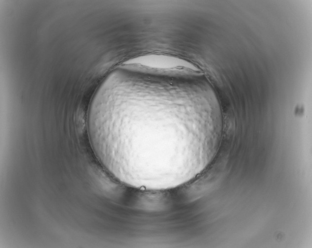 X0000090450479200708102053