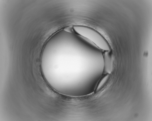 X0000090450481200708102053