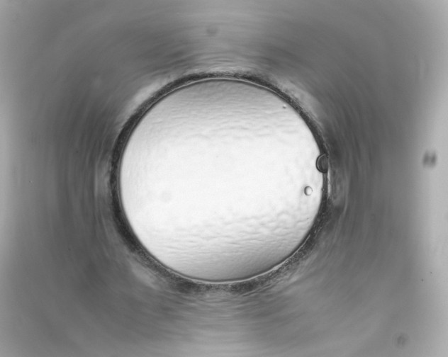 X0000090450483200708102053