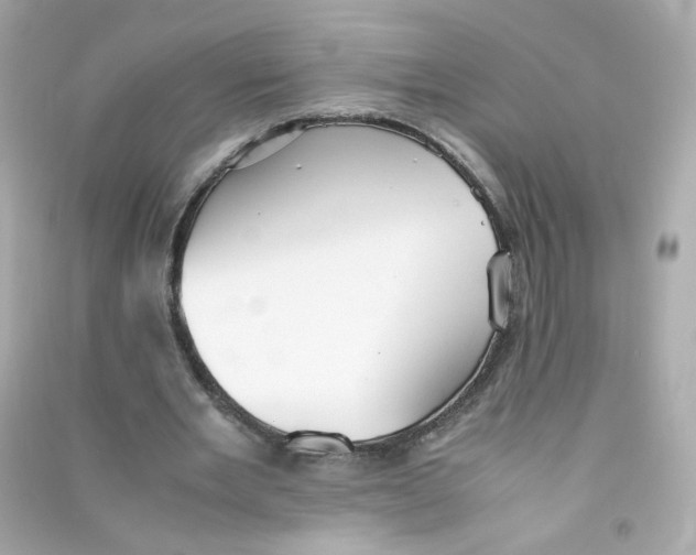 X0000090450485200708102053