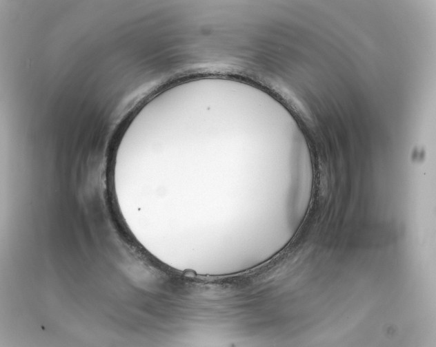 X0000090450486200708102053