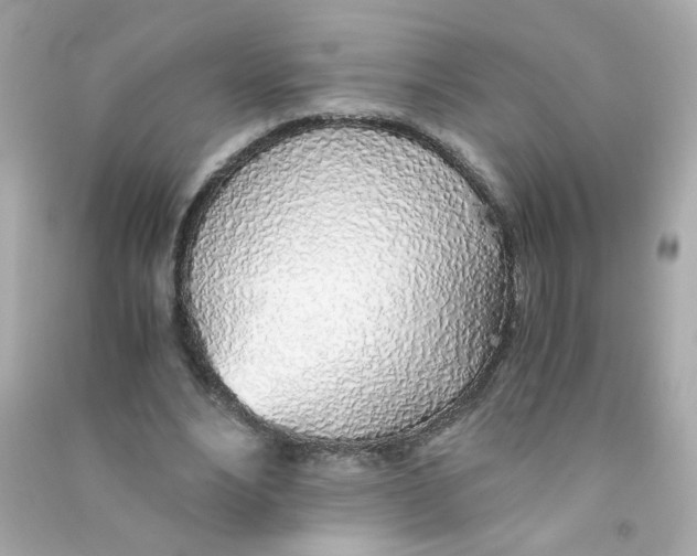 X0000090450488200708102053