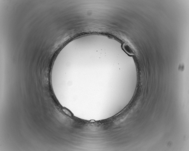 X0000090450489200708102053