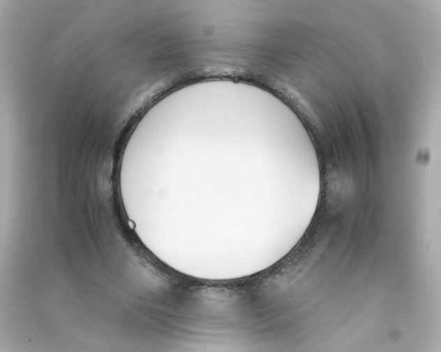 X0000090450490200708102053