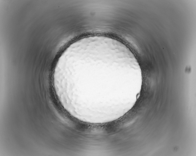 X0000090450491200708102053