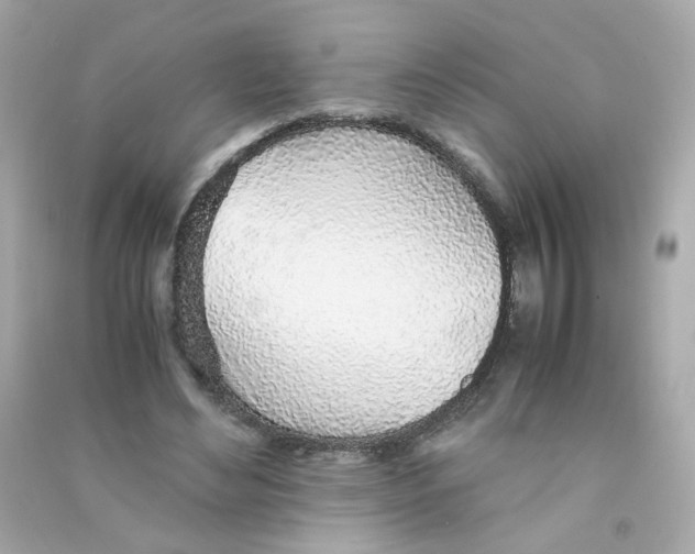 X0000090450492200708102053