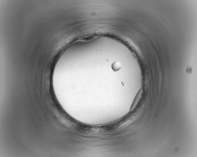 X0000090450493200708102053