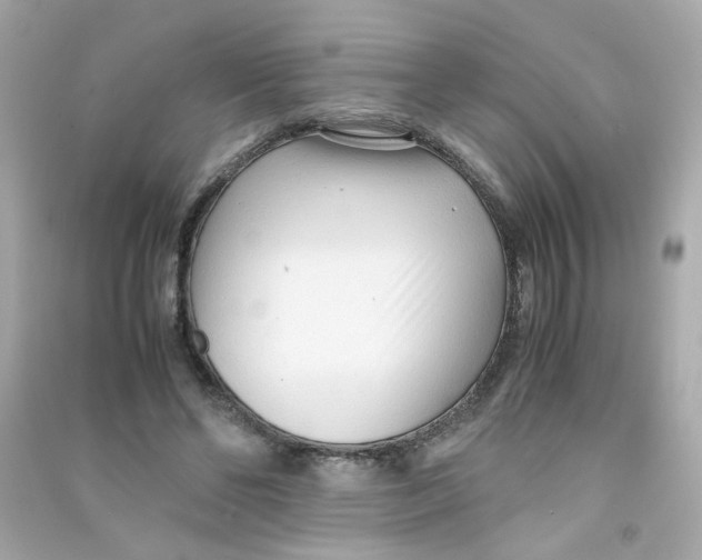 X0000090450494200708102053