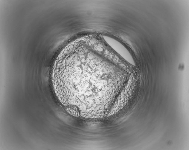 X0000090450495200708102053