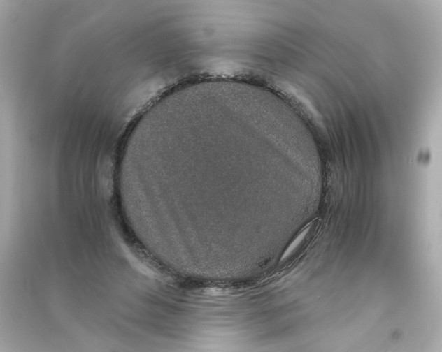 X0000090450496200708102053