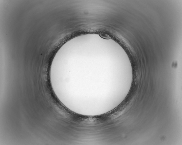 X0000090450497200708102053