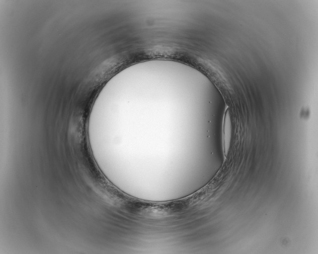 X0000090450498200708102052